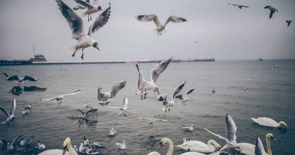 Anthropic Rejects $800B Valuation Offers Amid AI Frenzy