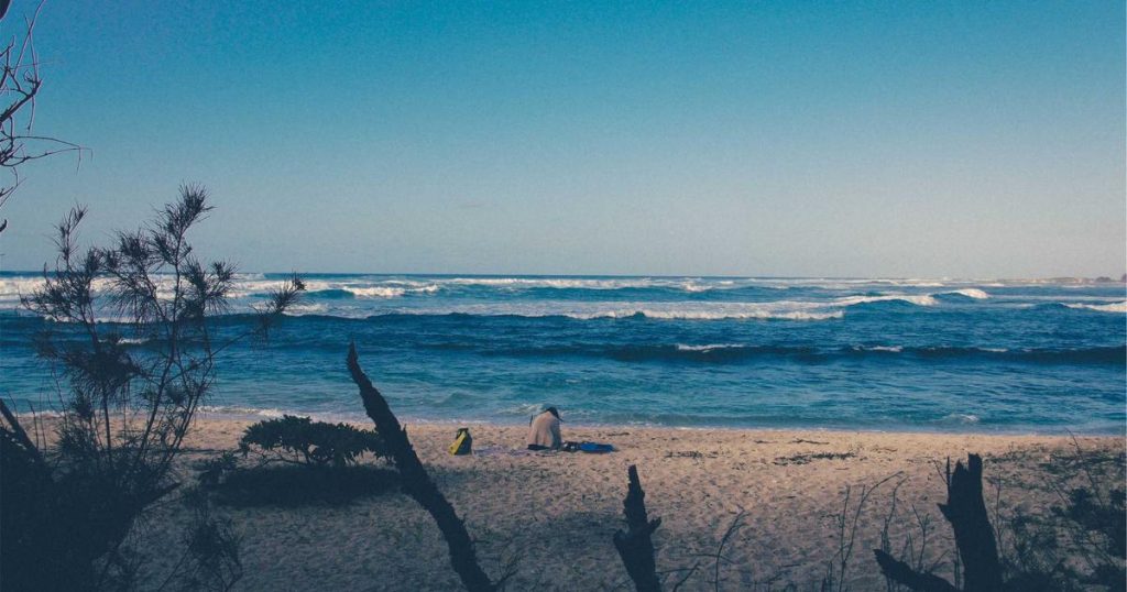 Anthropic Secures $5B for Amazon Chips