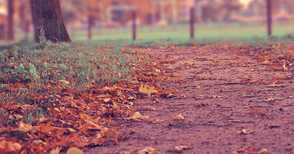 Fermi AI Nuclear Power Loses Top Execs