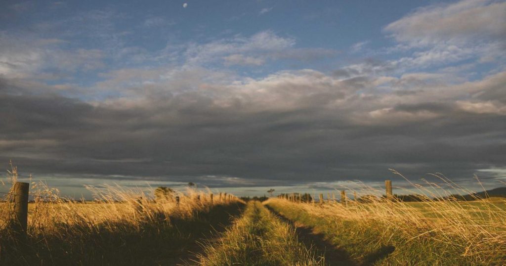 Google Meet AI Notes Now Available In-Person