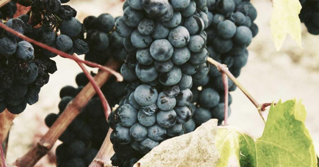 Hermes AI Bug Adds $200 Fee to Users