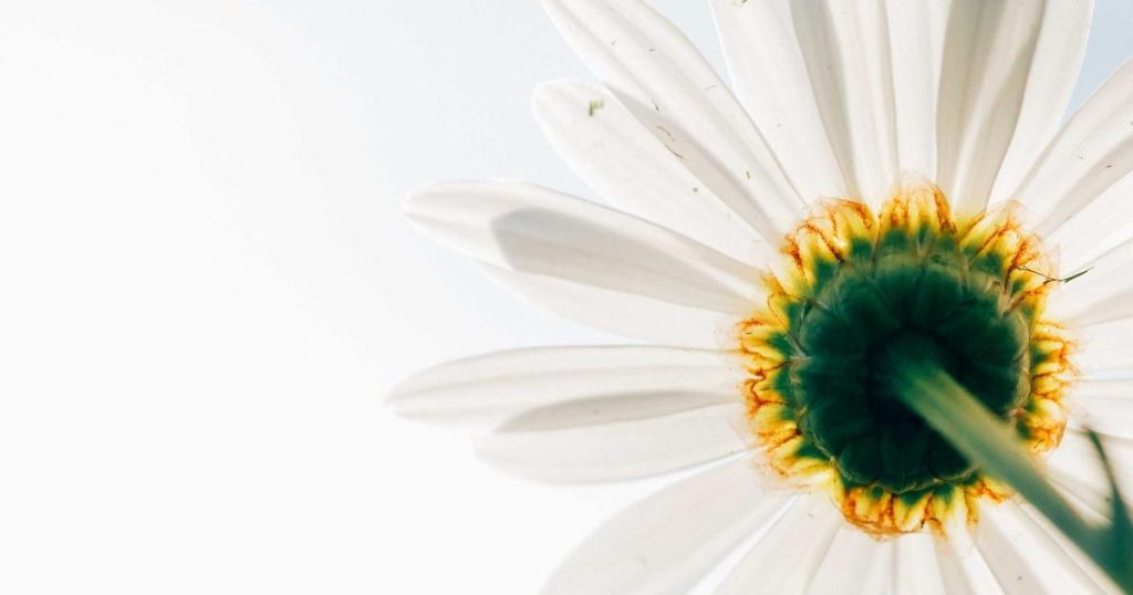 Hyatt Deploys AI Powered ChatGPT Enterprise