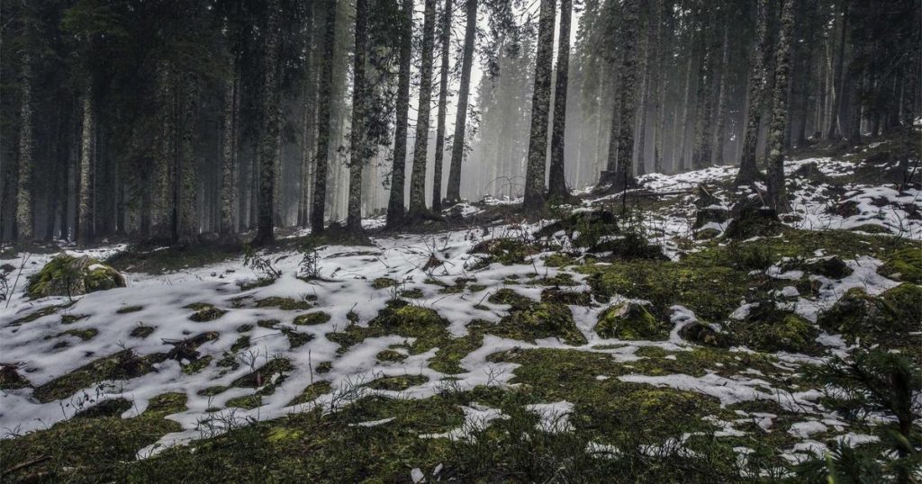 OpenAI Boosts Codex Power