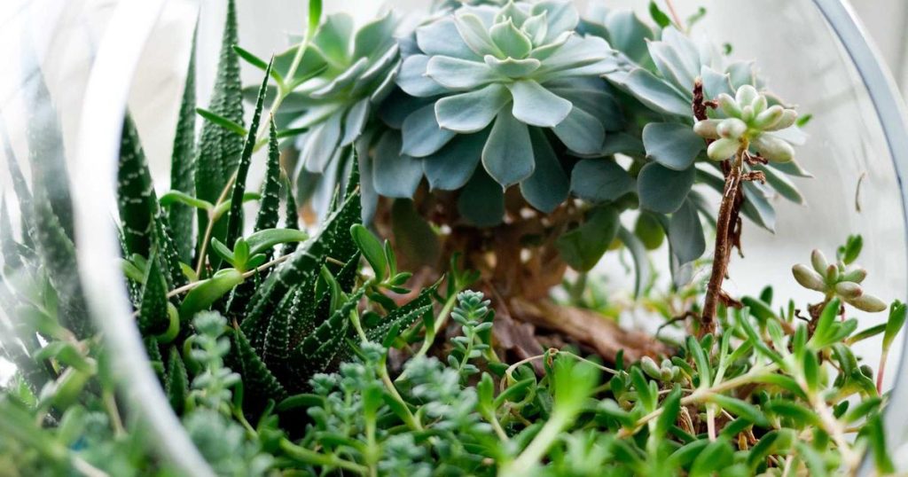 OpenAI Unveils GPT-Rosalind for Life Sciences Research