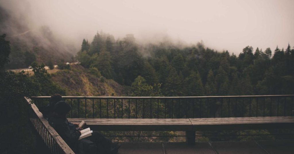 OpenAI Updates Codex AI