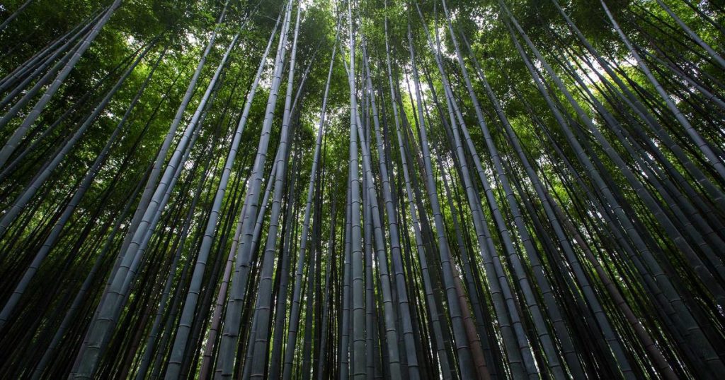 DeepSeek Valuation May Hit $45B