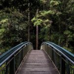 Musk vs Altman Week 2: OpenAI Fires Back