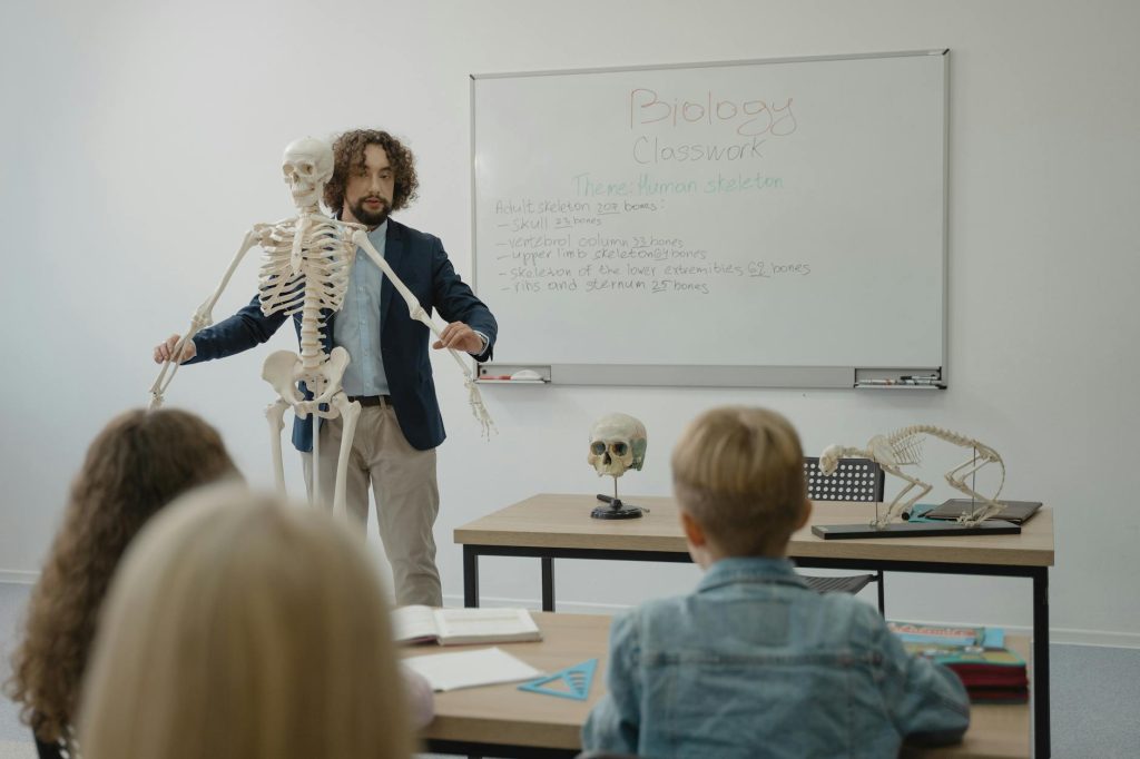 Understanding Bipedalism